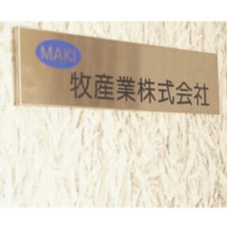 社名板 ST5400 / あり / 案内板 400mm幅 名入れ有り 返品不可品 ステンレス 1個  / 光 hikari 社名板 案内表示板 ビル案内 行先案内 金属 シルバー色