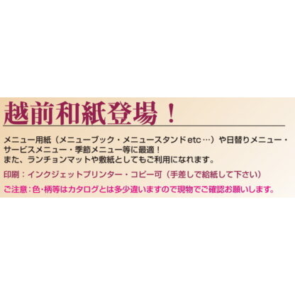 越前和紙 OA 和紙 金銀 雲竜 A4 10枚入 10セット OA-41 / えいむ ランチョンマット レーザー・インクジェット対応 - 画像 (3)
